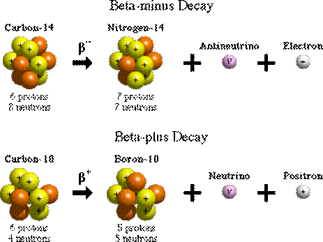 Beta decay results in the emission of an electron and antineutrino, or a positron and neutrino.