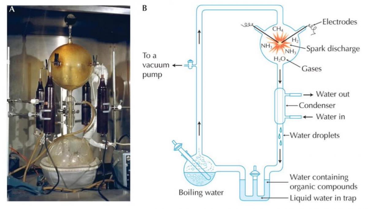 apparatus used in the Miller-Urey experiments