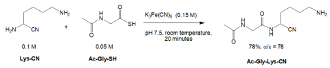 Selective acylation of Lys-CN with Ac-Gly-SH