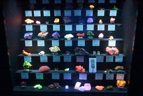 Fluorescent Mineral Collection under UV light