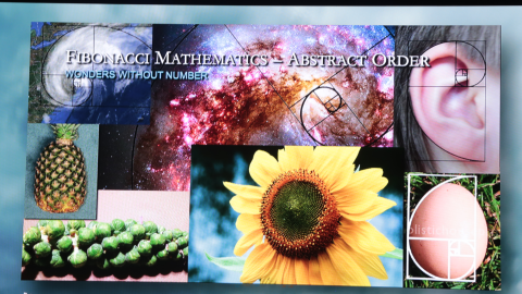 Objects exhibiting the Fibonacci Sequence